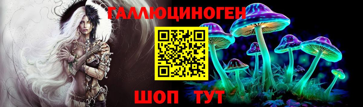 Псилоцибиновые грибы мухоморы  Псилоцибиновые грибы Cubensis  цена наркотик  Туапсе  Вход с VPN 